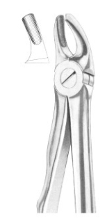  Fig. 39L upper molars left for children 
